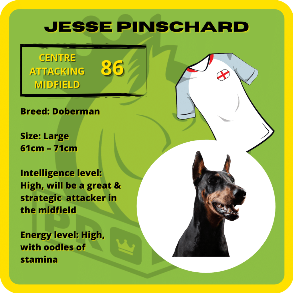 Jesse Pinschard